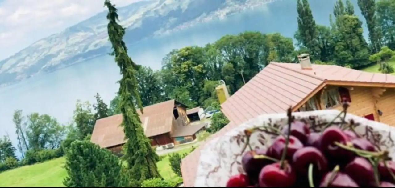Lakeview Rustic Krattigen Екстер'єр фото